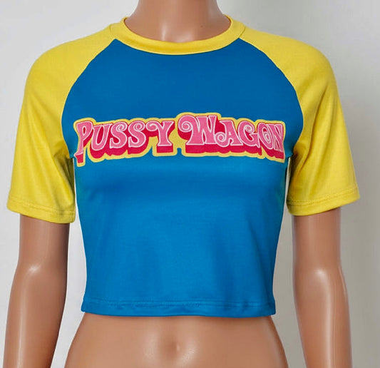 Colorblock Letter Print Cropped T-Shirt